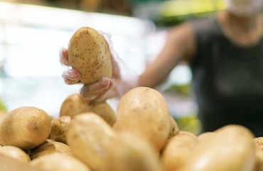 Belpotato Asks Supermarkets to Source Local Potatoes