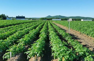Demand for Remote Field Monitoring Rises