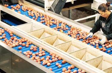 Business Booming for Idaho Potato Processor