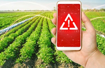 USD3m Funding for AI-based Sustainable Crop Protection