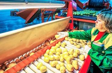 Coronavirus Crashes European Processing Sector
