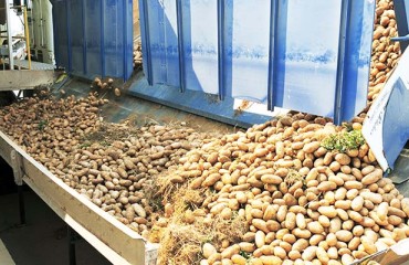 Switzerland: COVID-19 Makes Potato Imports Necessary