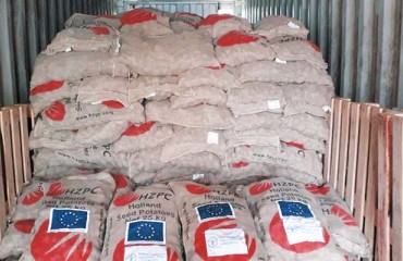 EU, FAO Provide 60 Tons of Potato Seeds to Tajik Farmers