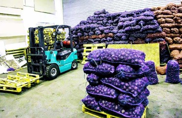 US Potato Exports Drop