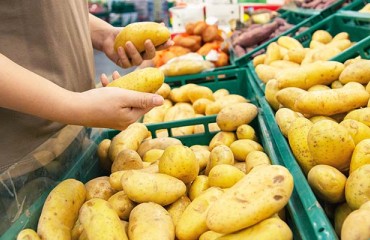Potato Retail Sales Increase in Q3 Of Marketing Year 2020