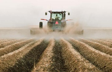 USDA: Overview of Canada's Current State of its Potato Industry