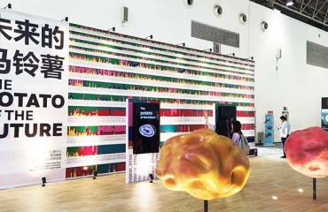 China Potato Expo Opens Online