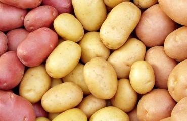 ADHB: UK Faces Risk of Importing Cheap Potatoes