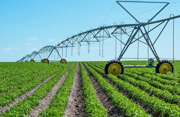 Australia: Thomas Foods sells Potato Business to Mitolo