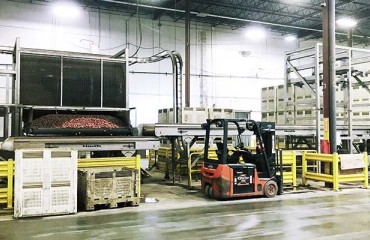 Haith Delivers Improvements for The Little Potato Company