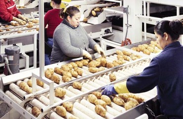 Lamb Weston Temporarily Closes Plants, Furloughs Over 600