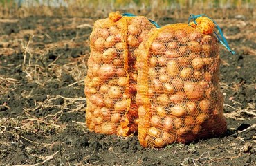 Malta’s Potato Prices Fall, as Exports Dwindle