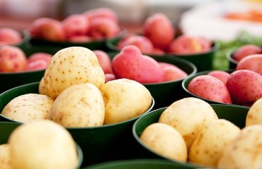 Wales: Puffin Produce to Supply Specialty Potatoes to Aldi