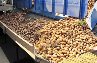 Sri Lanka Plans to Halt Potato Imports