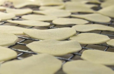 Ukrainian Company to Build Potato Processing Plant