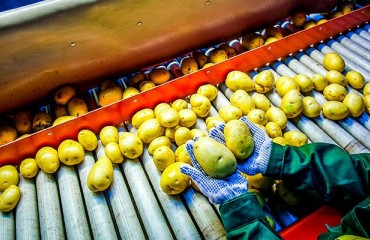 Sorting: Avoiding Waste by Detecting Foreign Material