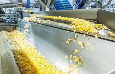 Conveyor Systems in Processing: Making Use of Advanced Engineering Design