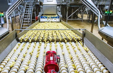 Steam Peeling: Kiremko Celebrates 30th Invicta Steam Peeler Sale in 30 Months