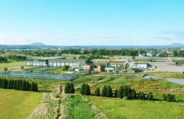 McCain Foods Ballarat Achieves Sustainability Targets