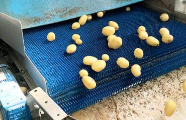 Italian Company Boosts Production Using Sentinel II Sorting Machine