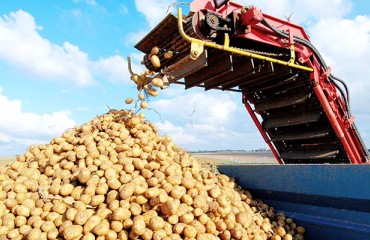 AHDB: International Trade Remains Slow