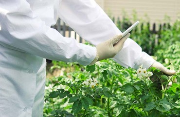 HZPC Closes Eventful Year with a Healthy Result