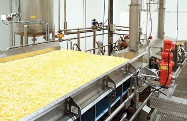 Kiremko Remote Service Starts Up French Fry Line in Morocco
