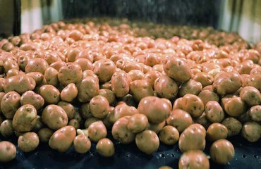 Branston Reveals Expansion Plans