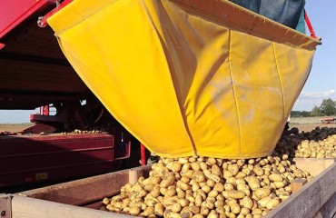 Mitolo Faces Workforce Shortage in Australia