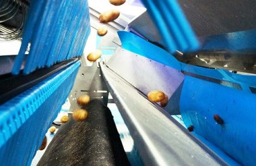 Ortofrutticola Parma Turns to TOMRA Food for Sorter Upgrade