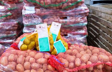 Ukraine's Potato Imports Spike at 503% Over Previous Year