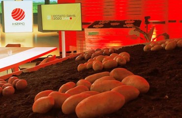 HZPC's Online Potato Days Showcases New Reality