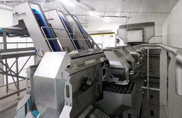 Marcelissen Installs Six-output Optical Sorter