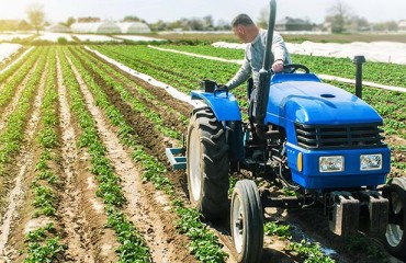 UK: AHDB's Agronomy Week Goes Virtual