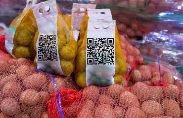Integrating Traceability Solutions in the Potato Supply Chain