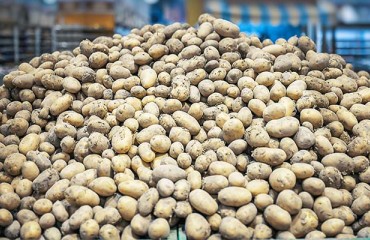 'No-deal Brexit' Will Result in an Increase in Fruit and Veg Prices