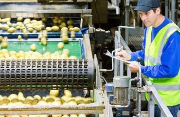 Potato Giant Albert Bartlett Sees Boost in Sales and Profits