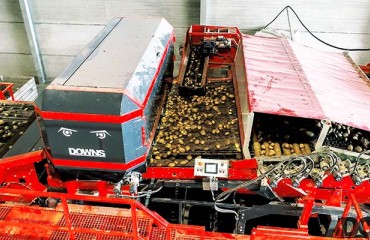 DOWNS Introduces Optical Sorter for Unwashed Potatoes