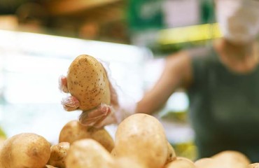 Fresh Potato Sales Boom at Year's End