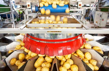 Global French-fry Trade Might Not Recover Until 2022
