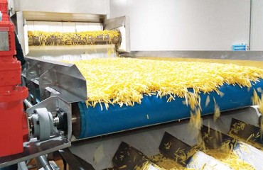Complete Processing Lines - Everything Is Possible