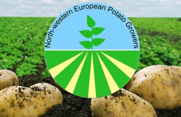 NEPG Faces Changes in 2021