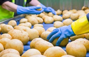 Covid-19 Outbreak Disrupts Activity at Branston Plant