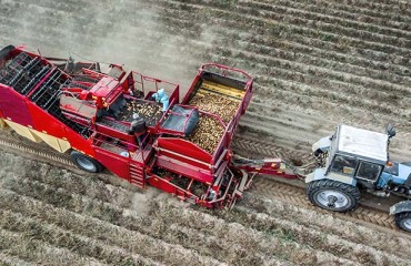 EU Seed Potato Ban May Trigger Reciprocal Response