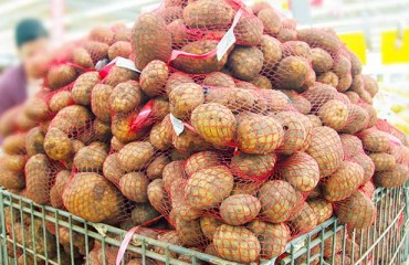 NZ: Potato Exports Plummet in December Amid Dumping Claims