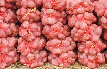 Mallorca Asks the UK Not to Let Brexit Affect Potato Exports