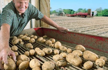P.E.I. Potato Growers Are Optimistic for 2021 Season