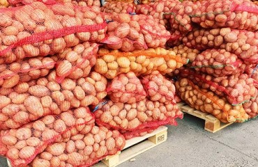 Local Industry Body Says it Has Evidence of Potato 'Dumping' in NZ