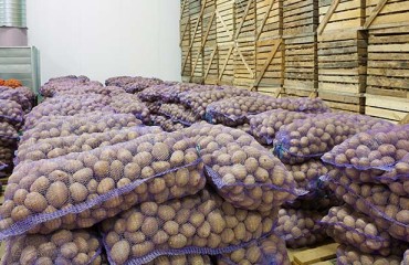 Ventilation and Cooling in Potato Storage - Best Friends or Perfect Strangers