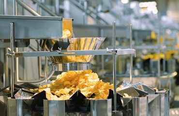 Waste-free Potato Processing Facility to be Built in Ukraine
